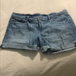 Ann Taylor LOFT Denim Shorts